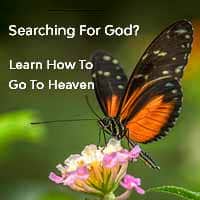 Searching for God - How To Go To Heaven - icon