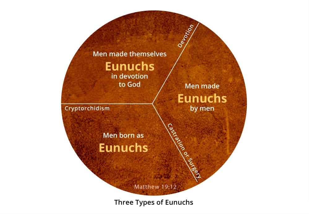 Three Types of Eunuchs