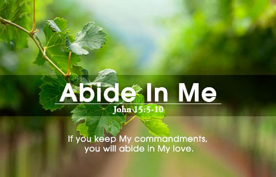 Abide In Me - John 15:9-110