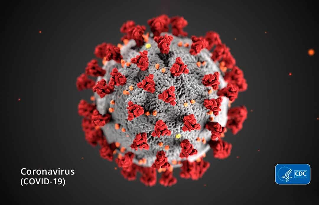 Coronavirus - Covid-19 - public domain