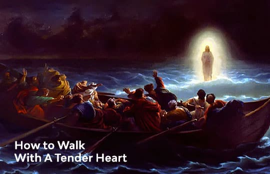 Walk with a Tender Heart