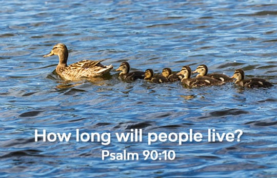 How Long Will People Live