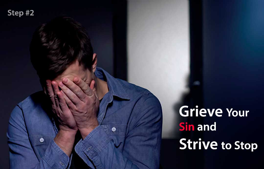 Grieve Your Sins and Strive to Stop