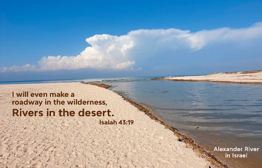 Alexander River In Israel