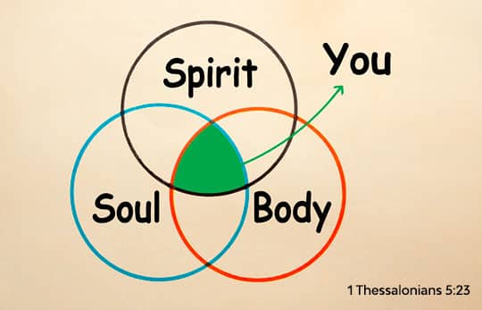 Body, Soul and Spirit