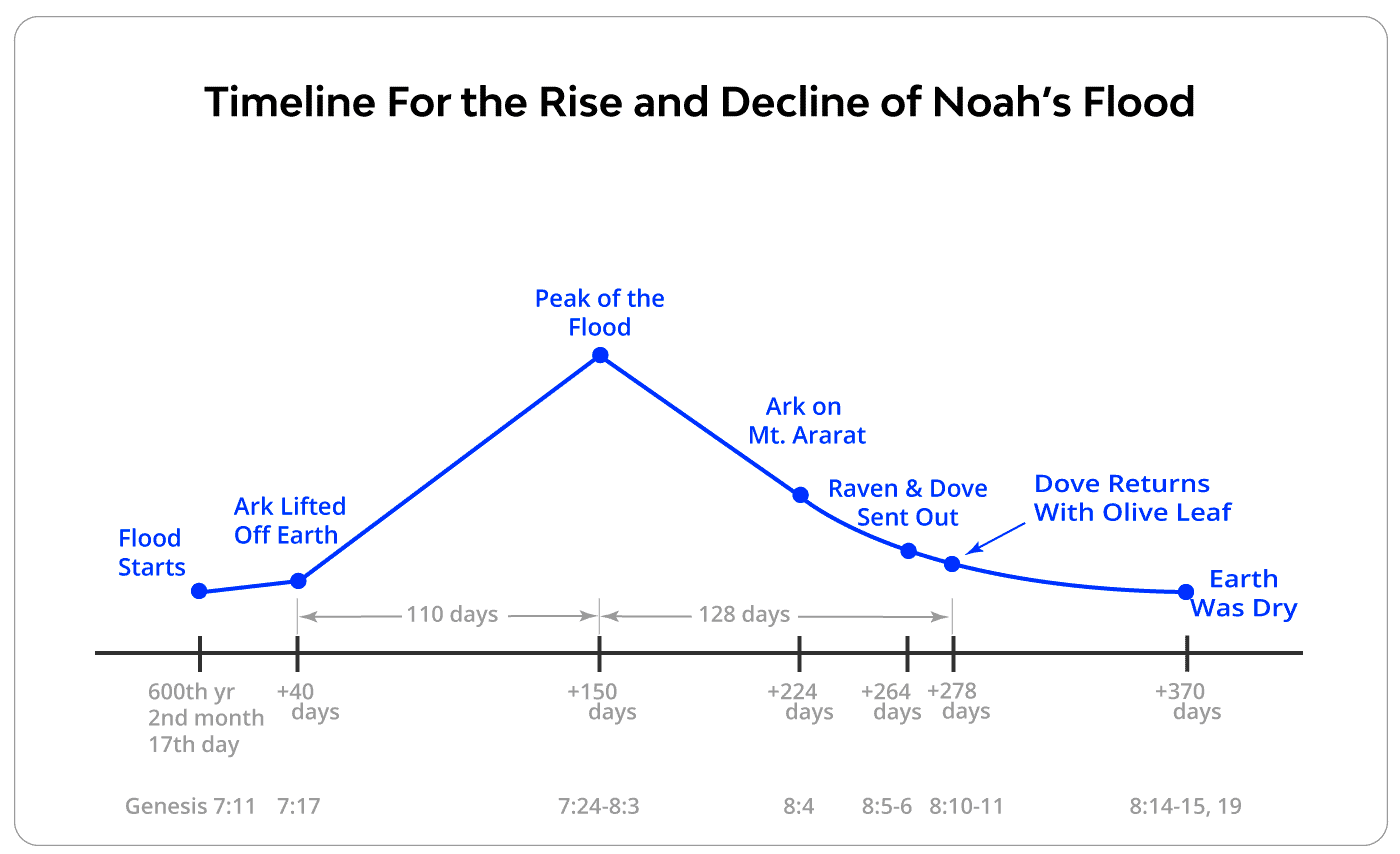 Timeline For the Rise and Decline of Noah's Flood