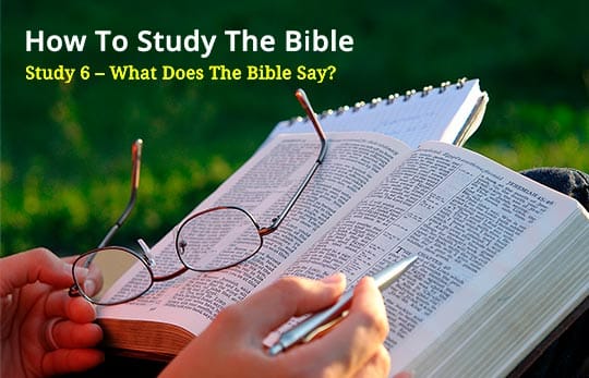 What does the Bible Say?