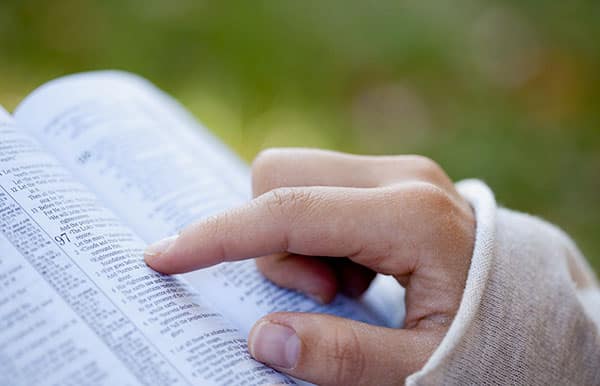 Read the Bible In Chronological Order
