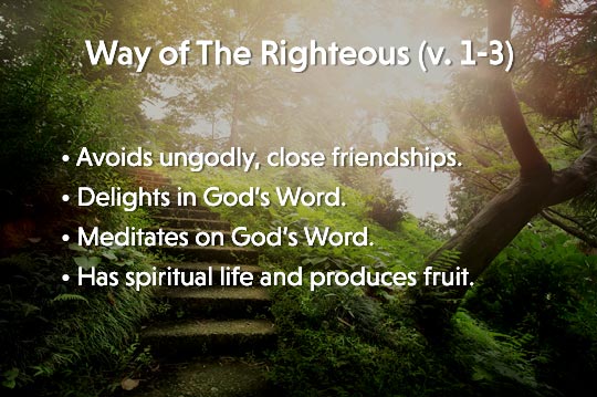 Way of the Righteous