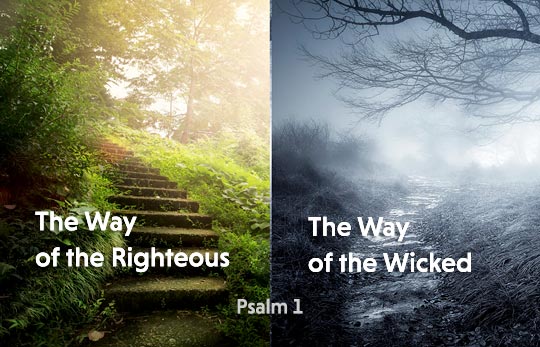 Way of the Righteous and Wicked
