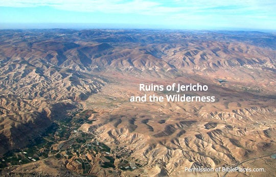 Jericho Wilderness