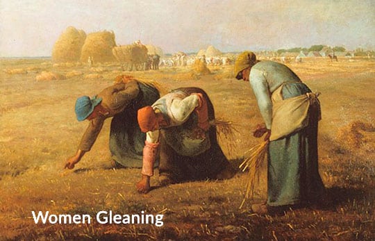 Supporting Widows by Gleaning