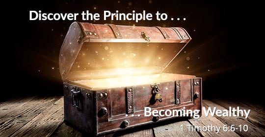 Discover Principle Becoming Wealthy Icon