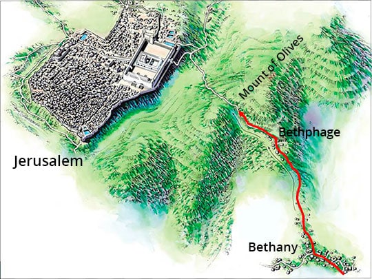 Bethphage and Bethany Near Jerusalem