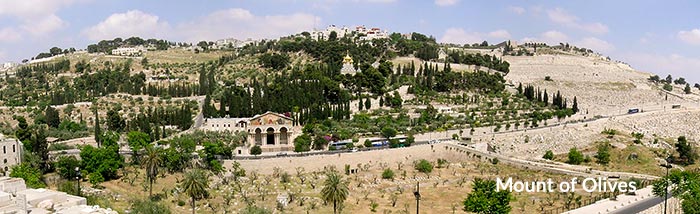 Mount of Olives panorama