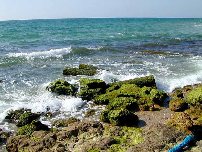 Ashkelon Columns