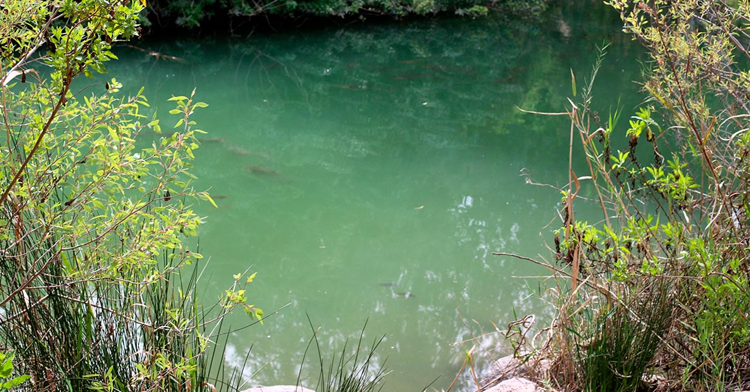 What does it mean that Jesus' baptism fulfilled "all righteousness"?