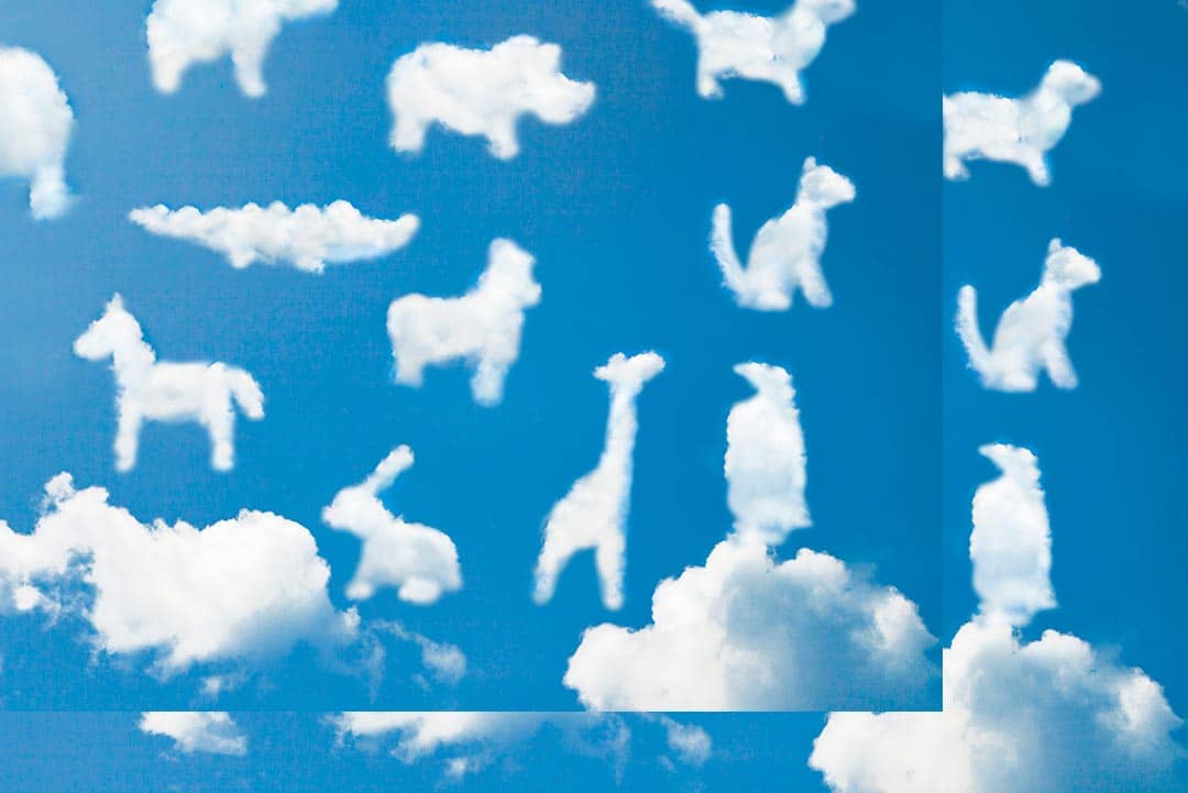 Will animals be raptured and go to heaven? β Isaiah 11:6 | NeverThirsty