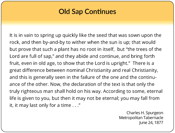 Old Sap Continues