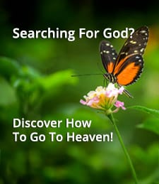 Searching for God