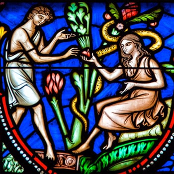 Adam and Eve Sinned — Why Did God Create Man?