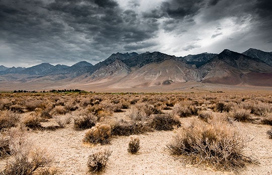 Gog's Army Covers the Land Like a Cloud