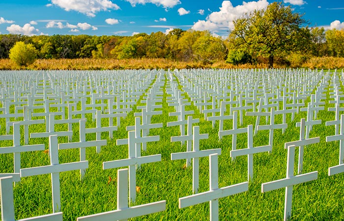 Cemetry of Crosses of Aborted. Babies
