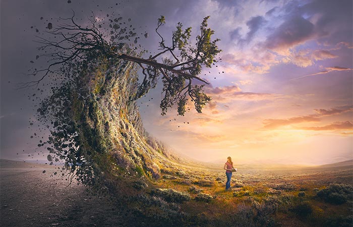 Prophecy of the Great Tribulation