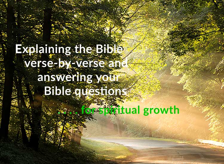 Neverthirsty Purpose - 20260410 Mobile