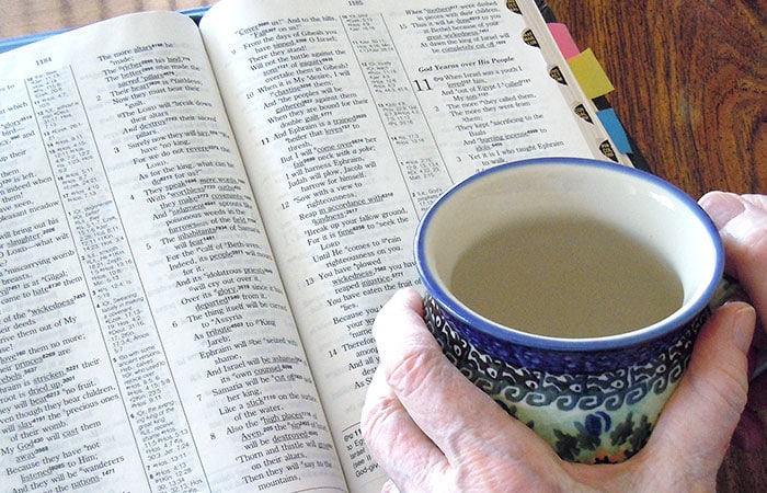 Overview of the Bible