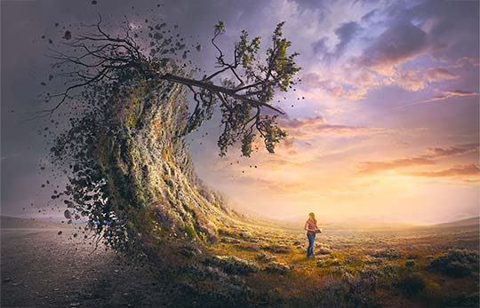 Prophecy of the Great Tribulation